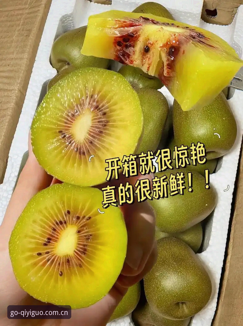奇异果体育平台高效使用指南：从下载到专业赛事解读全攻略