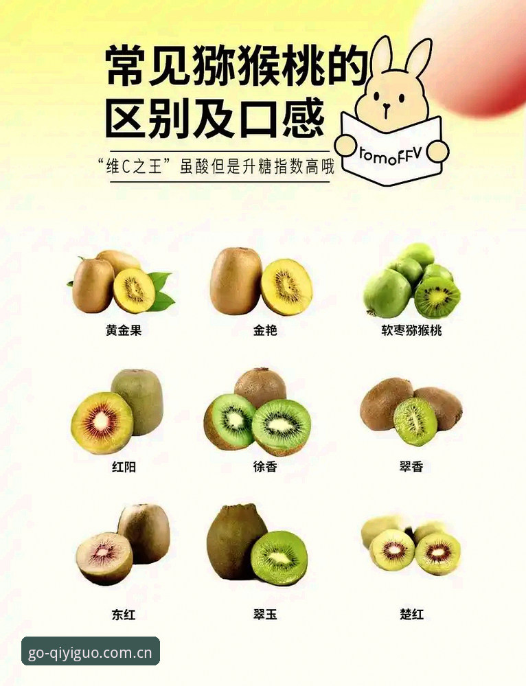 最新奇异果体育好用吗？一个老用户聊聊真实使用体验